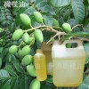 專業(yè)供應(yīng)手工皂原料 霍霍芭油