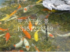 無(wú)錫市錦鯉魚池過(guò)濾公司！鴻瀚環(huán)保1
