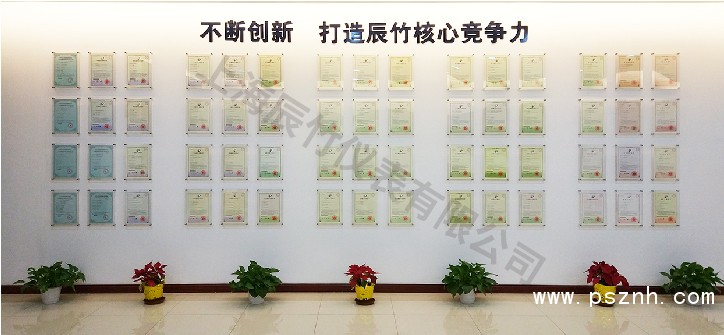 榮譽(yù) | 辰竹董事長王竹平獲評(píng)CAIMRS領(lǐng)軍力量之智未來·產(chǎn)業(yè)先鋒
