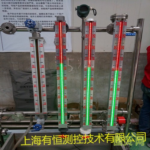 上海有恒測控技術(shù)有限公司出品液位計_副本