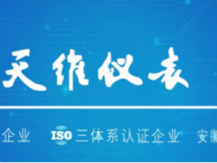 中國(guó)環(huán)博會(huì)閃耀亮相丨天維儀表與您共創(chuàng)萬(wàn)物智聯(lián)時(shí)代