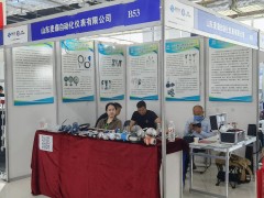 直擊現(xiàn)場丨麥森自動化攜熱電偶、熱電阻、鎧裝加熱器系列彩亮相淄博石油化工展