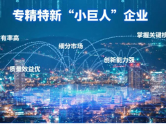 產(chǎn)業(yè)領(lǐng)域 創(chuàng)新發(fā)展 萬(wàn)訊自控成功入選第三批專(zhuān)精特新“小巨人”名單