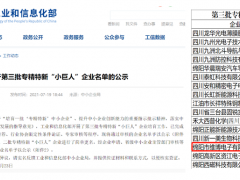 創(chuàng)新能力 維博電子成功入選工信部專(zhuān)精特新 “小巨人”企業(yè)名單