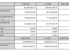 三川智慧上半年凈利潤7841.05萬，同比下降6.34%