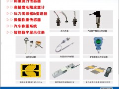 稱重測(cè)力傳感器上市廠家華蘭海電測(cè)入刊《儀表與測(cè)量控制》雜志