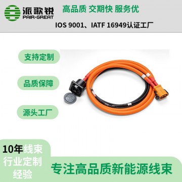 新能源汽車高壓線束  汽車快充線束