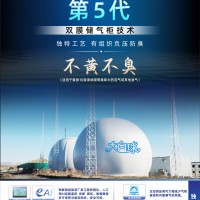 餐廚垃圾專用不黃 不臭 不變色 雙膜儲(chǔ)氣柜